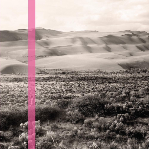 DOWNLOAD MP3: EARLY DAY MINERS – THE ARSON GARDEN