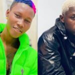 "US Show Promoters Cancel Zinoleesky's Tour Due to 'Unforeseen Circumstances'