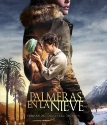 PALM TREES IN THE SNOW