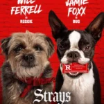 Strays (2023) Strays
