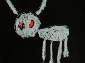 DRAKE – 8AM IN CHARLOTTE