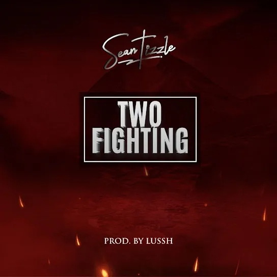TWO FIGHTING