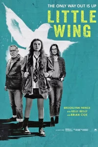 DOWNLOAD MOVIE: LITTLE WING (2024)