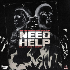 NEED HELP