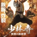 DOWNLOAD MOVIE: IRON KUNG FU FIST (2022) DOWNLOAD MOVIE: IRON KUNG FU FIST (2022)