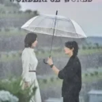 DOWNLOAD SERIES: WONDERFUL WORLD SEASON 1 COMPLETE KOREAN DRAMA DOWNLOAD SERIES: WONDERFUL WORLD SEASON 1 COMPLETE KOREAN DRAMA